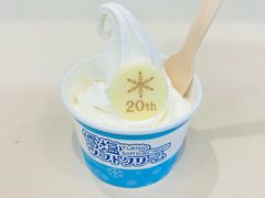 -国际通