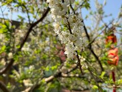 -风云岭森林公园