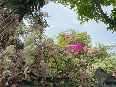 -深圳国际园林花卉博览园