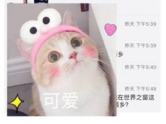 -美斯烘焙培训学院•蛋糕•面包•咖啡(宝安校区)