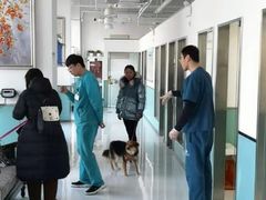 -欧奕国际动物医院