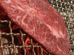 -樱宿日式和牛烧肉(五道口店)