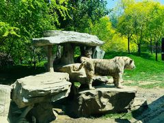 -北京野生动物园