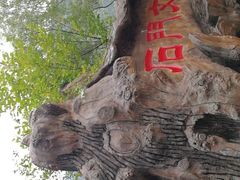 -汉中石门栈道景区