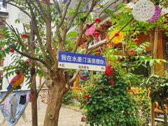 -水墨汀溪风景区