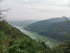 -铁山坪森林公园