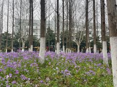 -河海大学(江宁校区)