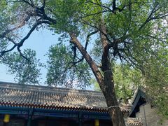 -内蒙古将军衙署博物院