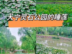 -大宁公园
