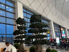 -郑州新郑国际机场-T2航站楼