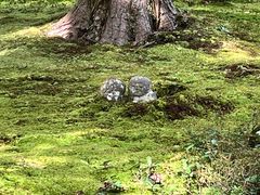 -三千院