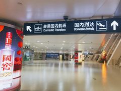 -合肥新桥国际机场-航站楼