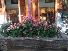 -丽江庭院之丽江往事(安定门店)