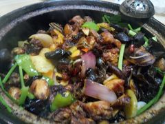 -清真重庆巴爷香辣鸡煲(南小巷店)