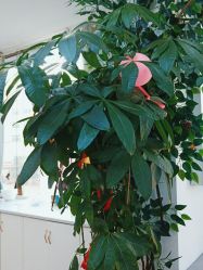 -痘院长·祛痘·科技美肤