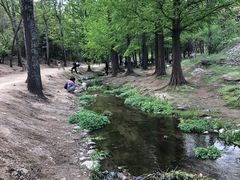 -白水寺森林公园
