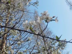 -宝岩生态观光园