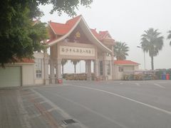 -大湾区中央湿地公园-十九涌