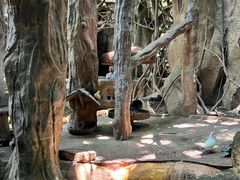 -长鹿旅游休博园