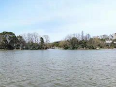 -新江湾城公园