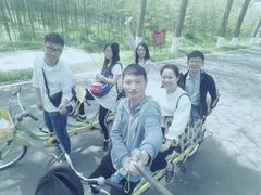 -黄海国家森林公园