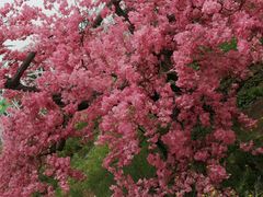 -兰陵国家农业公园