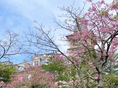 -中旅阿那亚九龙湖·公主酒店