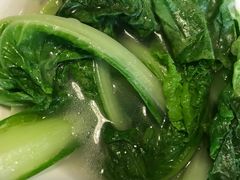 -面爸爸豆瓣抄手(贝森旗舰店)