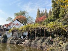 -上海醉白池公园