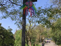 景点-贵阳市花溪国家城市湿地公园