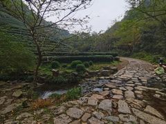 -龙井村