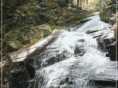 -藏龙百瀑风景区