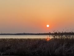 -苏州阳澄湖澜廷酒店-有景阁中餐厅