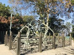 -紫金山天文台