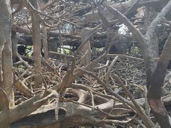 -长鹿旅游休博园
