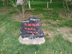 -金城公园