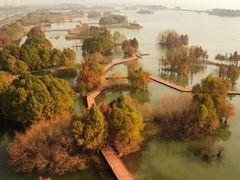 -贡湖湾湿地公园