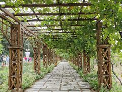 -北京张裕爱斐堡酒庄