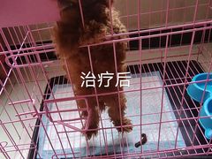 -西安市未央区汉城畜牧兽医站