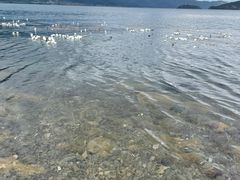 -丽江泸沽湖景区