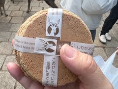-奈良公园