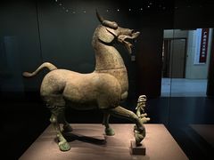 -广西壮族自治区博物馆