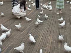 -南昌之星游乐场