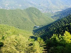 -莫干山风景区