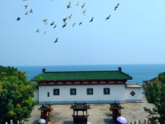 -三亚南山文化旅游区