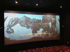 -大光明电影院(南京西路店)