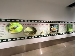 -上海昆虫博物馆