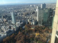 -东京都厅舍