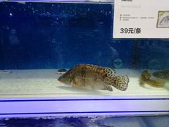 -盒马鲜生(联投广场店)