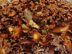 -胖子鱼·天水麻辣鱼火锅(秦州407店)